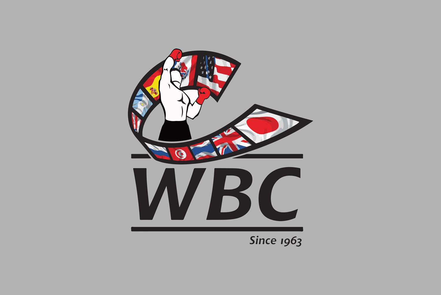 WBC boxing